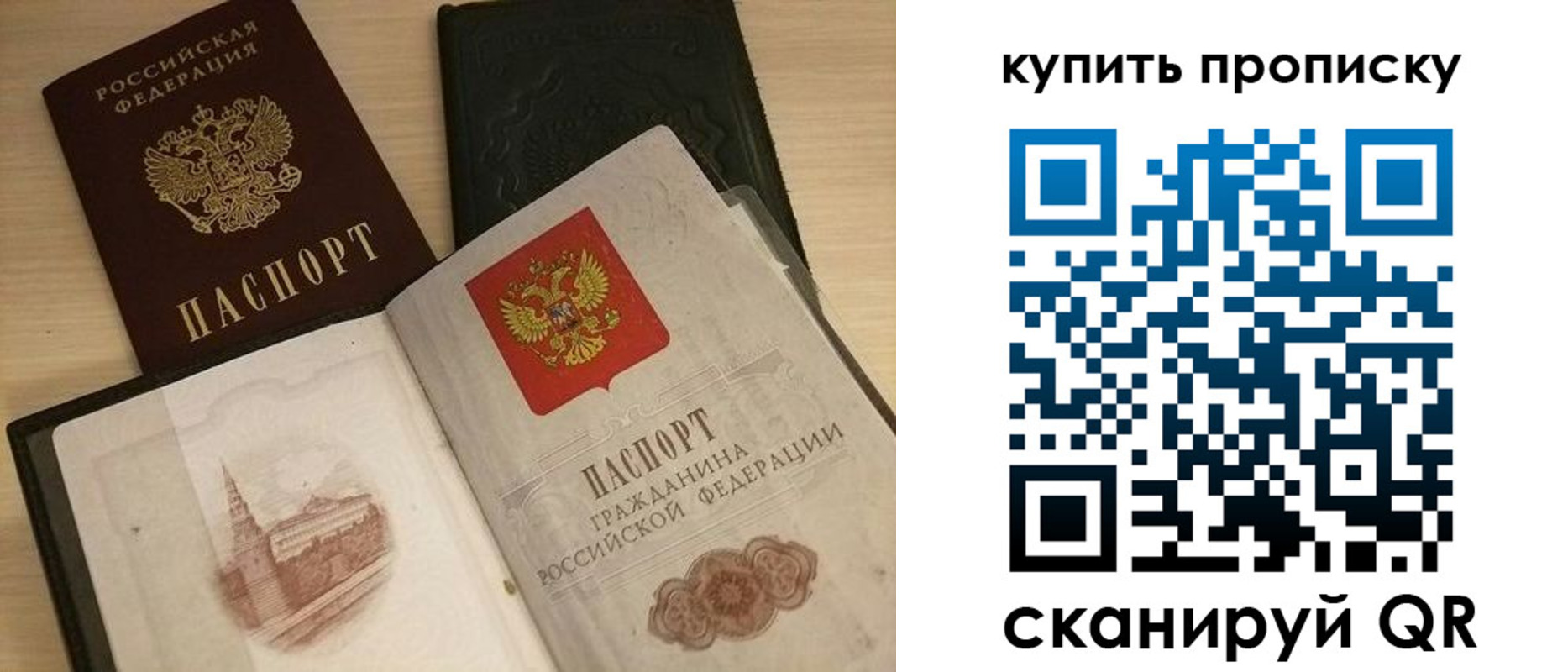 прописка гарантия в Кузнецке